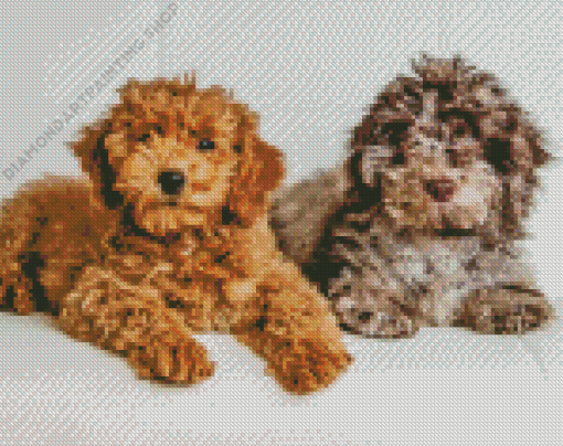 Beige And Brown Cockapoo Diamond Painting