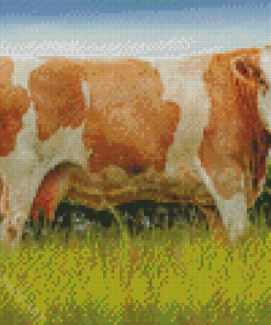 Beige And White Simmental Cattle Diamond Painting