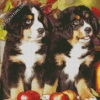 Bernese Mountain Dogs And Pumpkins Diamond Painting