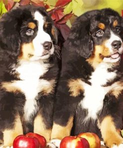 Bernese Mountain Dogs And Pumpkins Diamond Painting