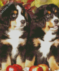 Bernese Mountain Dogs And Pumpkins Diamond Painting