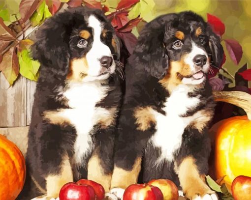 Bernese Mountain Dogs And Pumpkins Diamond Painting