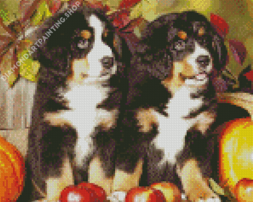 Bernese Mountain Dogs And Pumpkins Diamond Painting