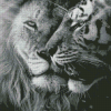 Black And White Lion And Tiger Diamond Painting