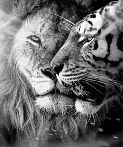 Black And White Lion And Tiger Diamond Painting