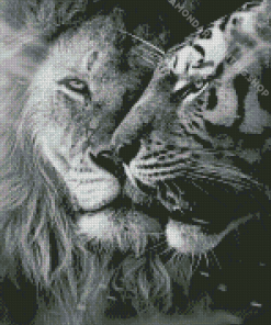 Black And White Lion And Tiger Diamond Painting