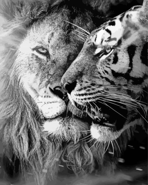 Black And White Lion And Tiger Diamond Painting