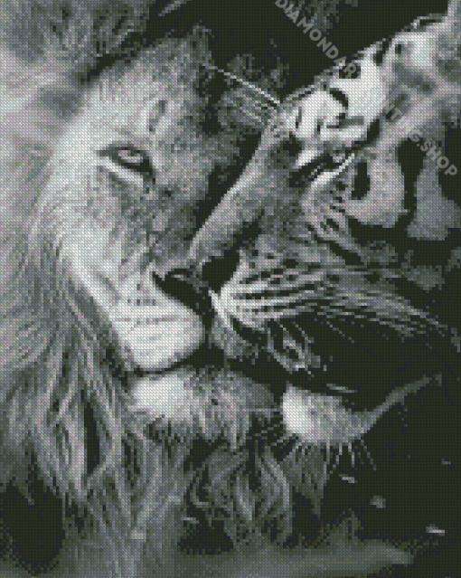 Black And White Lion And Tiger Diamond Painting