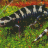 Black And White Salamander Diamond Painting