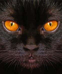 Black Cat With Yellow Eyes Diamond Painting