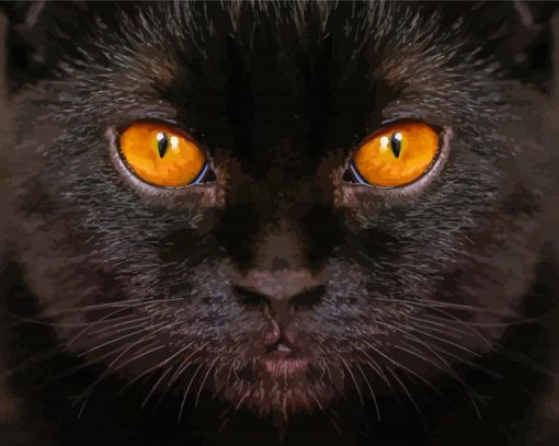 Black Cat With Yellow Eyes Diamond Painting