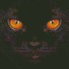 Black Cat With Yellow Eyes Diamond Painting