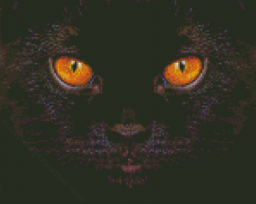 Black Cat With Yellow Eyes Diamond Painting