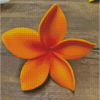 Bloom Orange Plumeria Flowers Diamond Painting