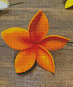 Bloom Orange Plumeria Flowers Diamond Painting