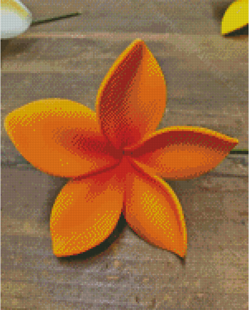 Bloom Orange Plumeria Flowers Diamond Painting