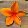 Bloom Orange Plumeria Flowers Diamond Painting