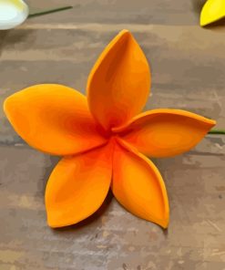 Bloom Orange Plumeria Flowers Diamond Painting