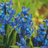 Blue Hyacinth Flowers Diamond painting