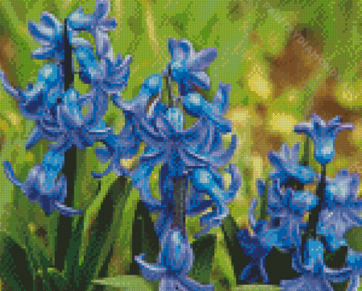 Blue Hyacinth Flowers Diamond painting