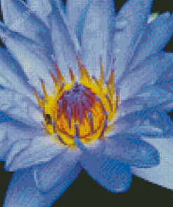 Blue Water Lily Diamond Painting