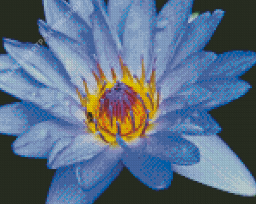 Blue Water Lily Diamond Painting