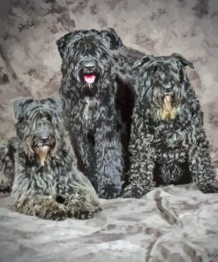 Bouvier Des Flandres Diamond Painting