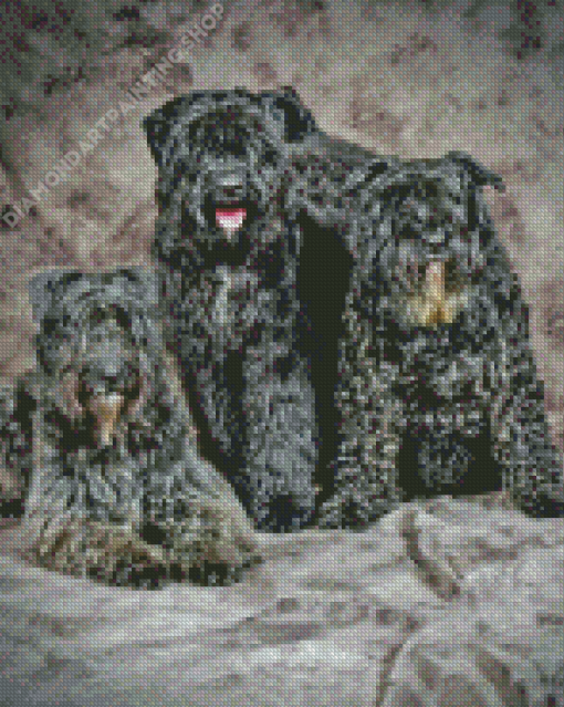 Bouvier Des Flandres Diamond Painting