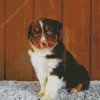 Brown And White Mini Aussie Diamond Painting