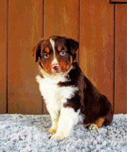 Brown And White Mini Aussie Diamond Painting