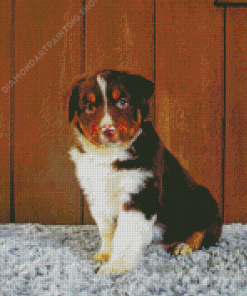 Brown And White Mini Aussie Diamond Painting