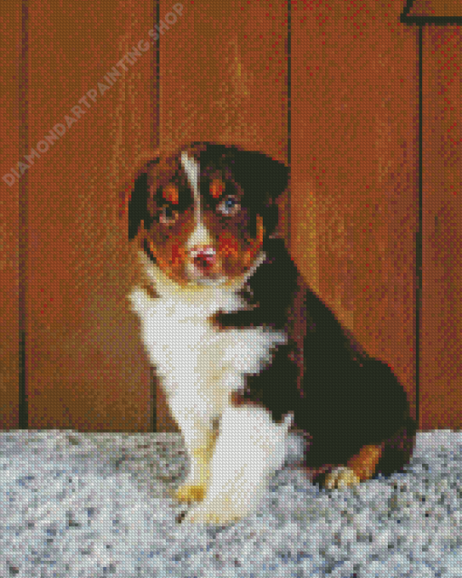 Brown And White Mini Aussie Diamond Painting