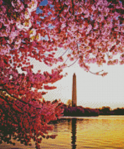 Cherry Blossom Washington Monument Diamond Painting