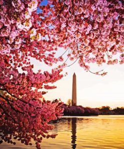 Cherry Blossom Washington Monument Diamond Painting