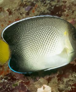 Cream Angelfish Diamond Painting