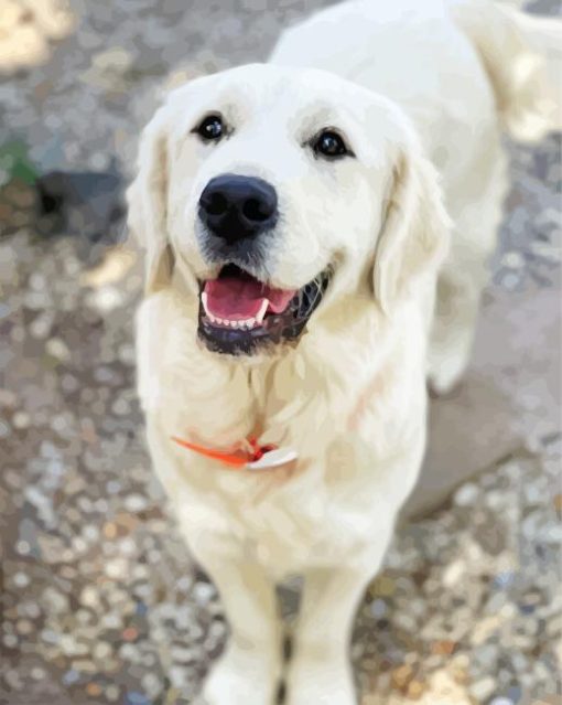 Cream Retriever Diamond Painting