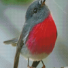 Cute Rose Robin Bird Diamond Painting