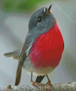 Cute Rose Robin Bird Diamond Painting