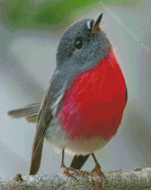 Cute Rose Robin Bird Diamond Painting