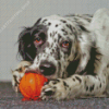 English Setter Diamond Painting