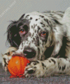 English Setter Diamond Painting