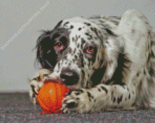 English Setter Diamond Painting