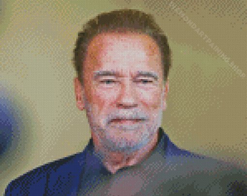 Former Professional Bodybuilder Arnold Schwarzenegger Diamond Painting