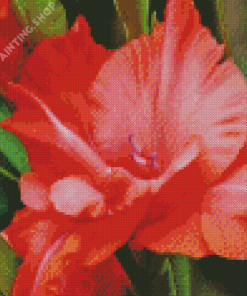 Gladiolus Pink Flower Diamond Painting