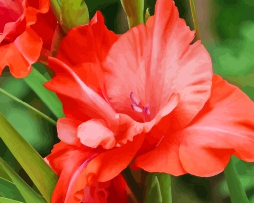 Gladiolus Pink Flower Diamond Painting