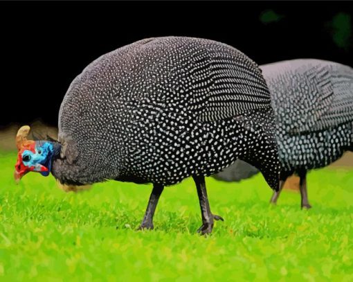 Guinea Fowl Bird Diamond Painting