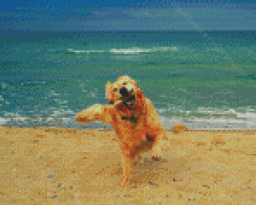 Happy Dog In The Beach Diamond Painting