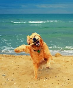 Happy Dog In The Beach Diamond Painting