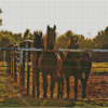 Horses By Fence Diamond Painting