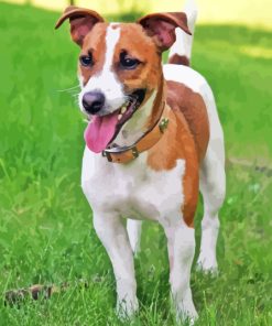 Jack Russell Puppy Diamond Painting